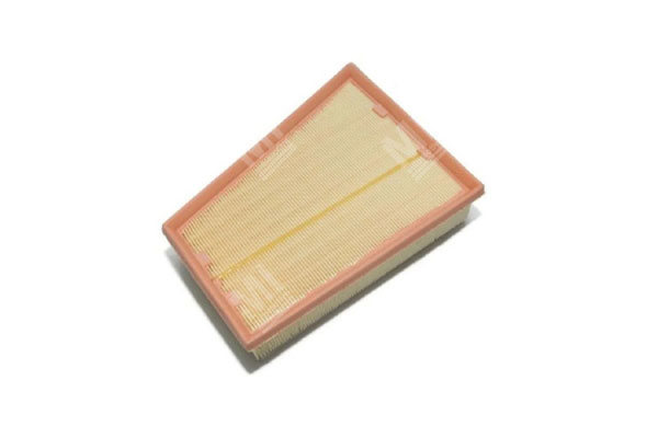 Air Filter - Renault  - 165465434R