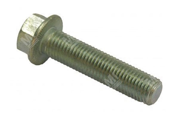 Bolt - Bpw  - 0250709500