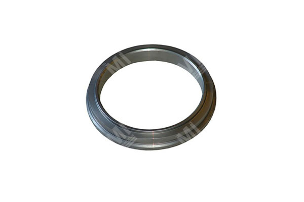 Cutting Ring Dn210 - Schwing  - 10063939