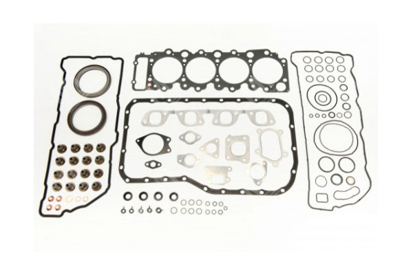 Gasket Set - Man D0834,12.160,12.163 - 51009006649