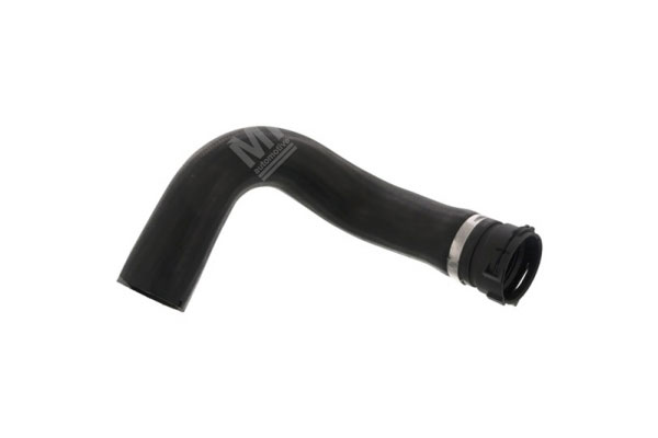 Lower Radiator Hose - Iveco Stralis - 41225411