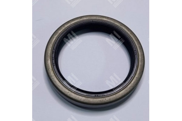 Oil Seal -   - 01002871