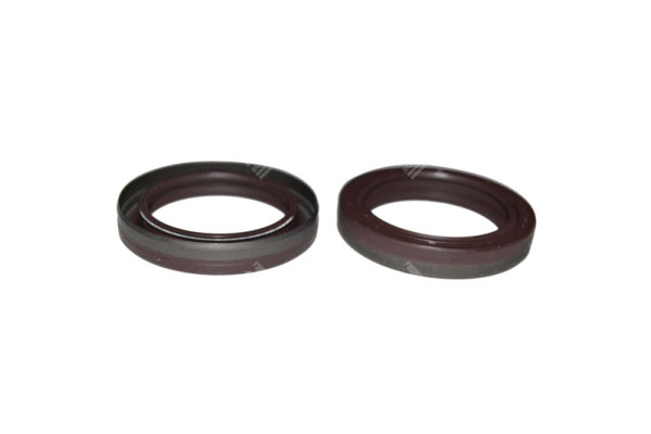 Oil Seal - 01017589 - Mi Nr: 347.019255