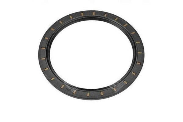 Oil Seal -   - 01018282