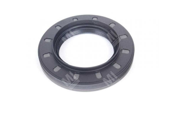 Oil Seal - 01027755 - Mi Nr: 347.019384