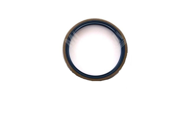 Oil Seal -   - 01029659