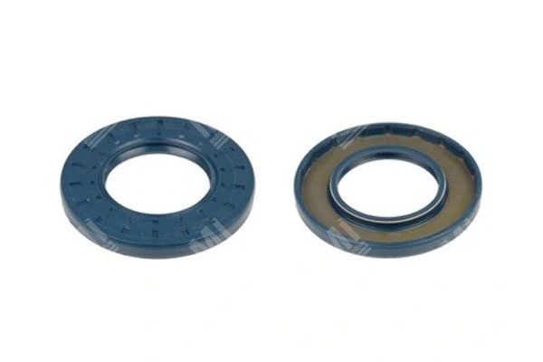 Oil Seal -   - 01029739