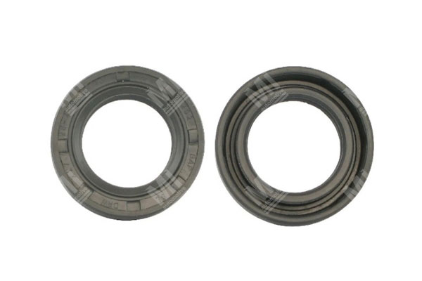 Oil Seal -   - 01031702