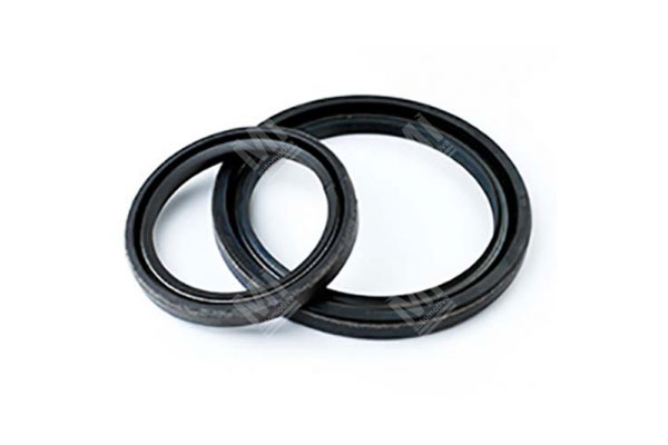 Oil Seal -   - 01032384