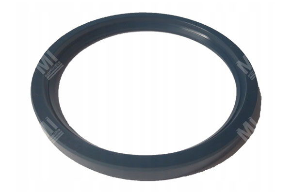 Oil Seal -   - 01033384