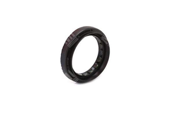 Oil Seal -   - 01033808