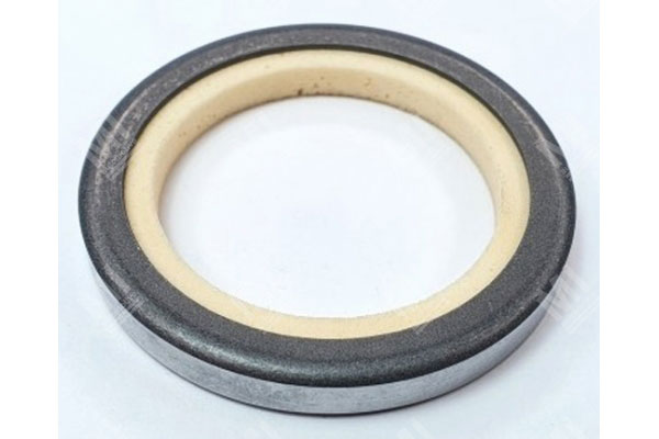 Oil Seal -   - 01033881