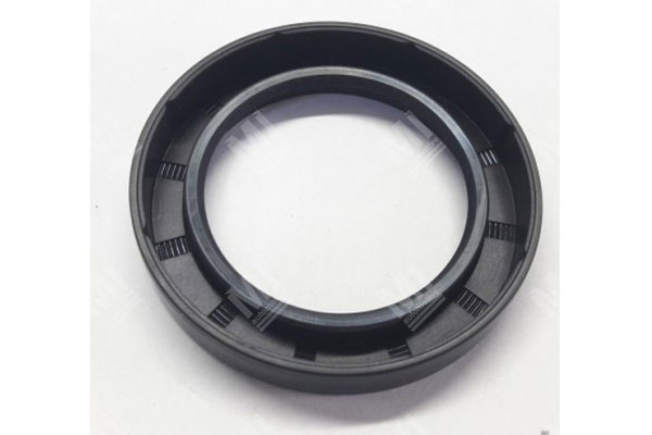 Oil Seal -   - 12000519