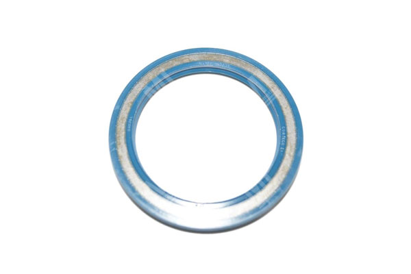 Oil Seal -   - 12001709