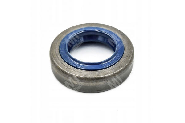 Oil Seal -   - 12001869