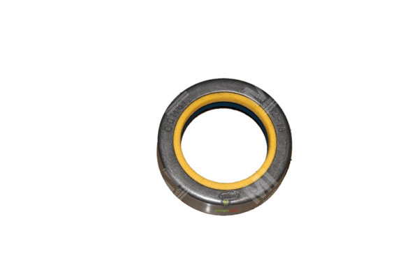 Oil Seal -   - 12001882