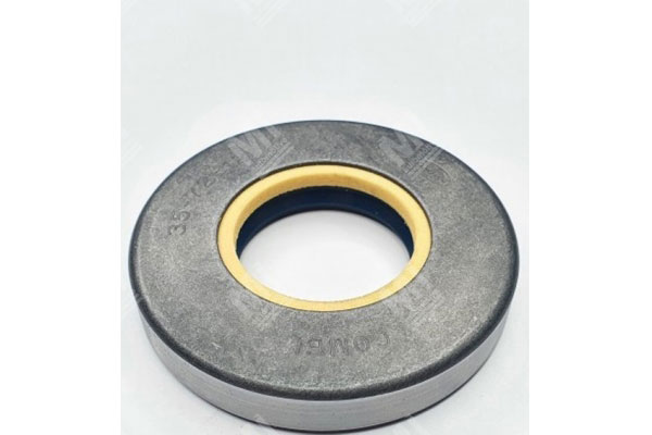 Oil Seal -   - 12001883