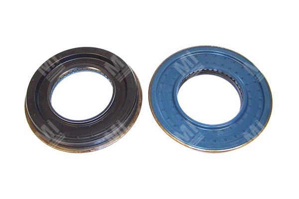 Oil Seal -   - 12006479