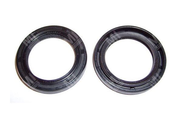 Oil Seal -   - 12010674