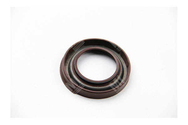 Oil Seal -   - 12010743