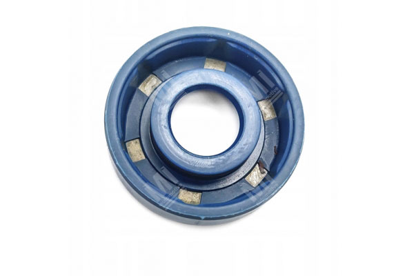 Oil Seal -   - 12010766