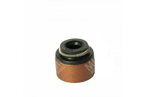 Oil Seal -   - 12010800