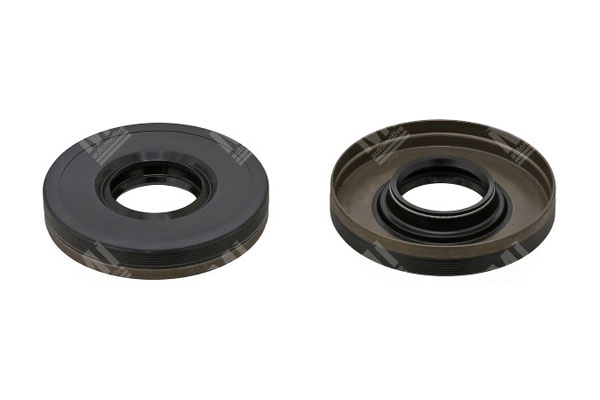 Oil Seal -   - 12010863