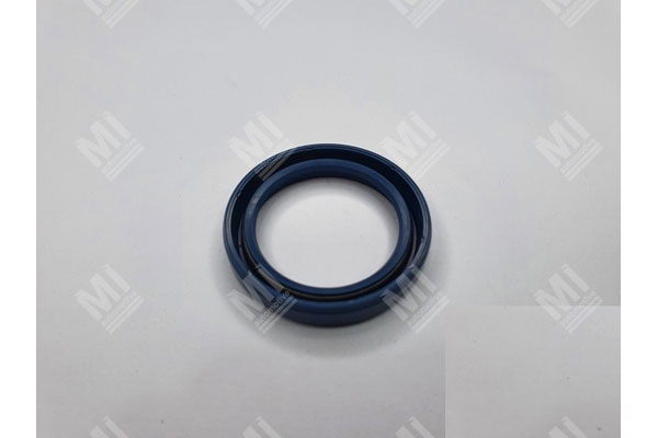 Oil Seal -   - 12010879