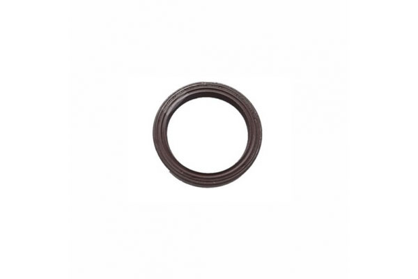 Oil Seal -   - 12010894