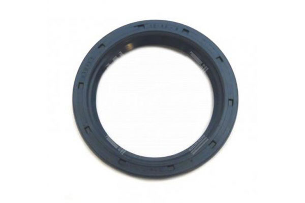 Oil Seal -   - 12010942