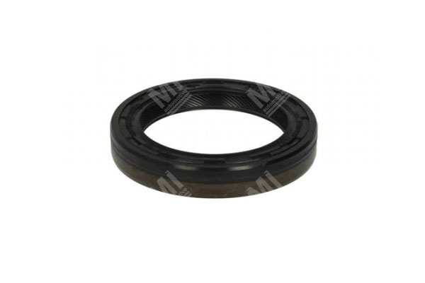 Oil Seal -   - 12010954