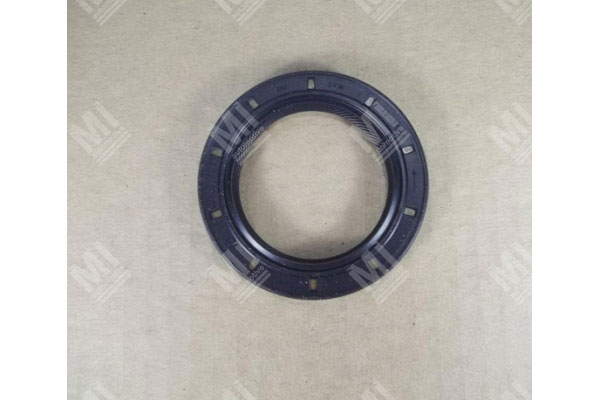 Oil Seal -   - 12010955