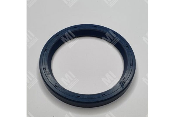 Oil Seal -   - 12010993