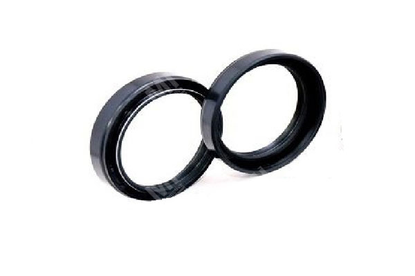 Oil Seal -   - 12011065