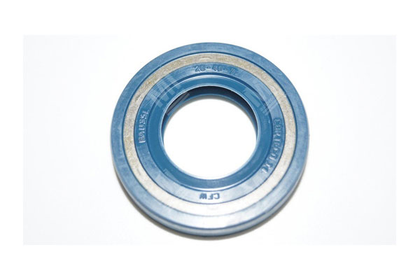 Oil Seal -   - 12011118