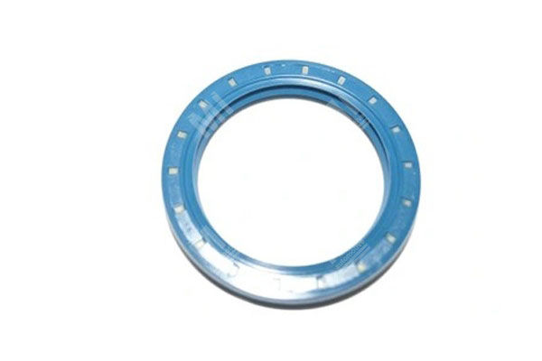 Oil Seal -   - 12011192