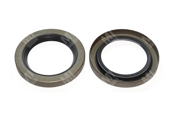 Oil Seal -   - 12011282