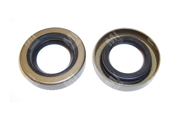 Oil Seal -   - 12011330