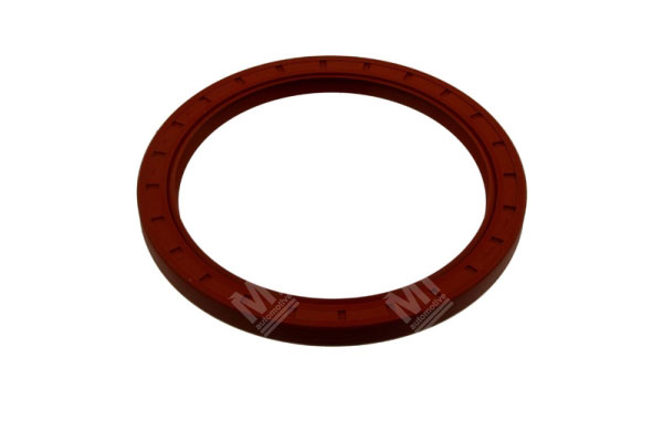 Oil Seal -   - 12011368