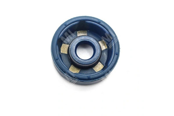 Oil Seal -   - 12011481