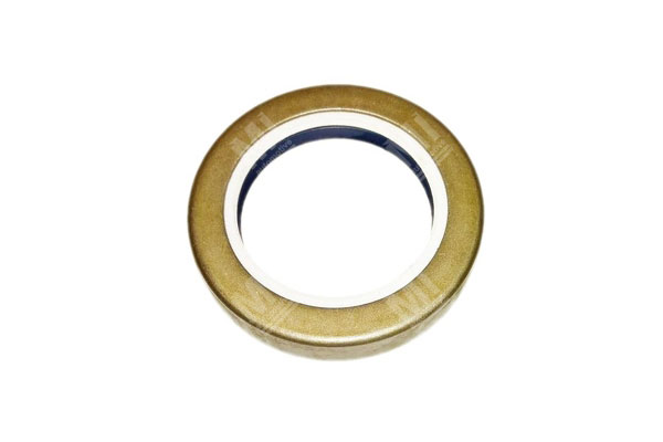 Oil Seal -   - 12011969