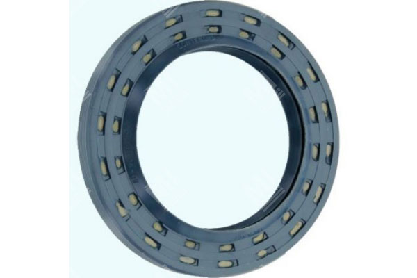 Oil Seal -   - 12012105