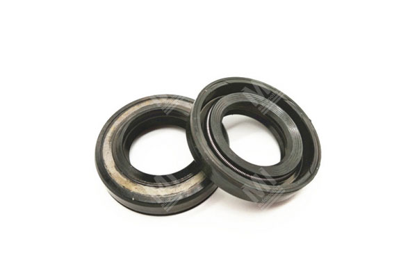 Oil Seal -   - 12012786