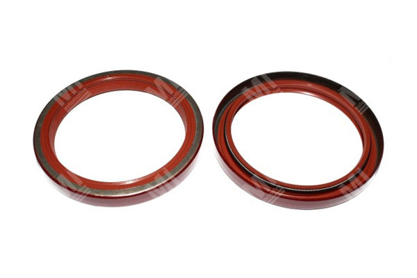 Oil Seal -   - 12013361