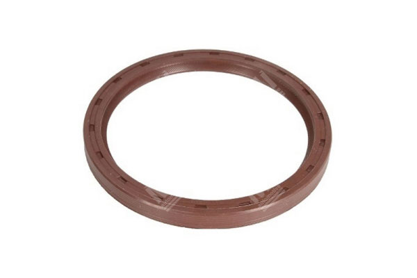 Oil Seal -   - 12013550