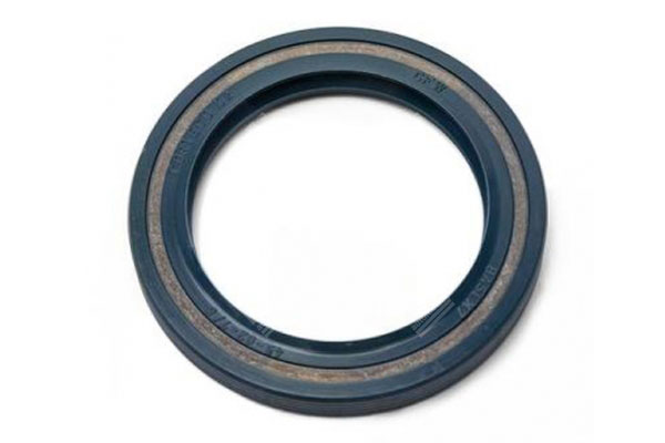 Oil Seal -   - 12013759