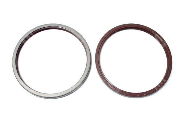 Oil Seal -   - 12015265