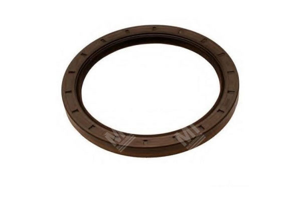 Oil Seal -   - 12015406