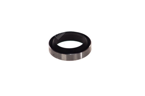 Oil Seal -   - 12015659