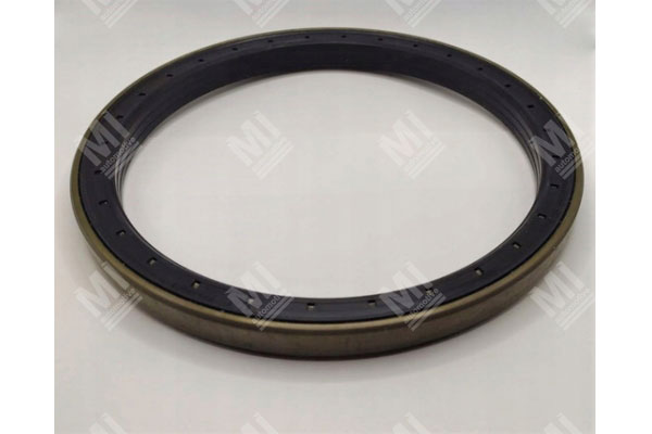 Oil Seal -   - 12018740